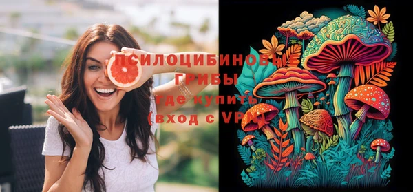 прущая мука Бородино