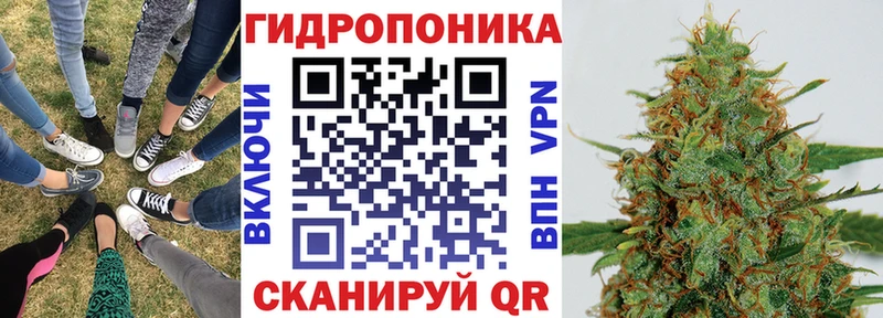 Бошки марихуана семена  Купить закладки  Бабушкин 